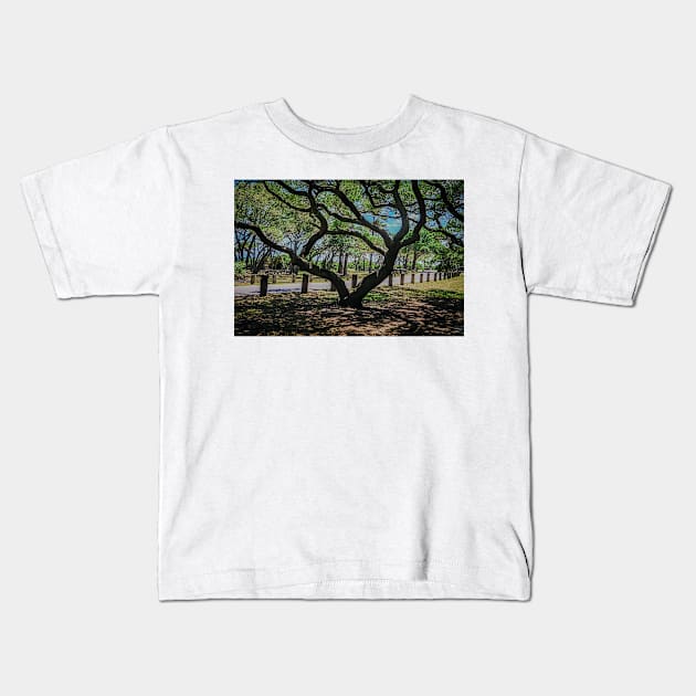 Shape of South Carolina in a Tree Kids T-Shirt by Ckauzmann